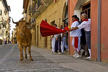 Fiesta and bull run in the streets of Puenta La Reina, Navarra, Spain