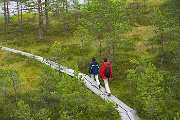 Hikers on a boardwalk through a marsh, Viru Raba, marsh, Lahemaa National Park, Estonia, Baltic States, Northeast Europe