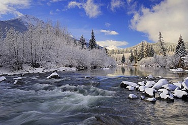 Fresh overnight snowfall blanketing the landscape, Miette River just west of Jasper townsite, Jasper National Park, Alberta, Canada