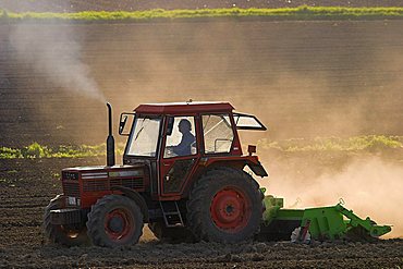 Tractor when ploughing and cloud of dust in the back light