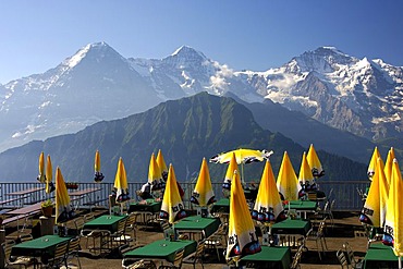 View at Mt Eiger, Monch and Jungfrau from the terrasse of the restaurant Schynigge Platte Berner Oberland Switzerland