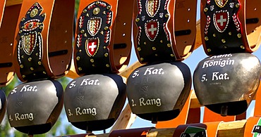 Cow bells, winner prizes, Combat of queens, Swiss cow fighting, Aproz, Valais, Switzerland