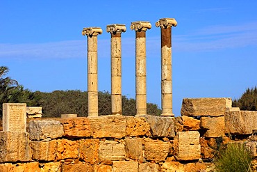 Four ancient columns with ionic capital, Ruins of the Roman City Leptis Magna, Libya