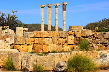 Four ancient columns with ionic capital, Ruins of the Roman City Leptis Magna, Libya