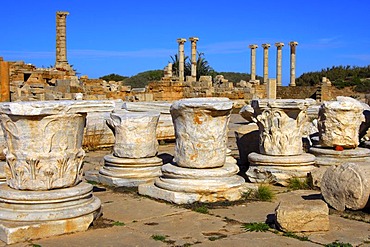 Ancient capitals, ruins of the Roman City Leptis Magna, Libya