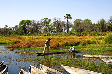 Locals in a Mokoro canoe, Okavango-Delta, Botswana