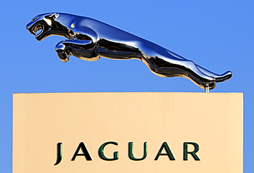 Leaping cat of prey, trademark of the Jaguar car manufacturer