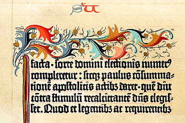 Gothic Miniscule script on parchment from the Gutenberg Bible dating to circa 1455, originally part of a collection in Leipzig that was lost after 1945; reproduction dating to 1886