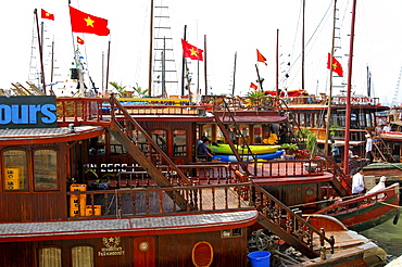 Traditional Vietnamese junks, boats in the port of Halong Bay, Vietnam, Southeast Asia