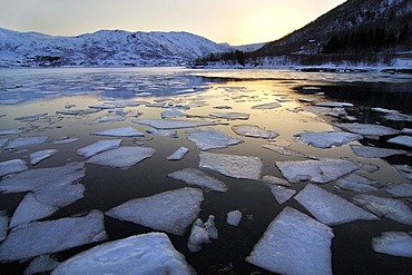 Ice floes on a lake