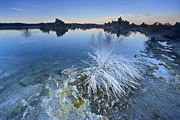 Mono Lake, California, United States of America