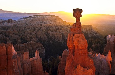 Thors Hammer, Bryce Canyon Nationalpark, Utah, United States of America, USA