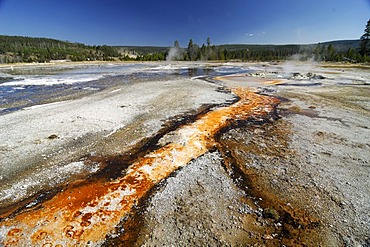 Layers with thermophilic bacteria, Upper Geyser Basin, Yellowstone Nationalpark, Wyoming, USA, United States of America