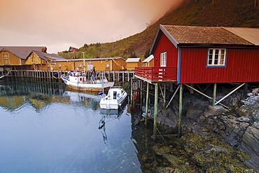 Wooden houses, fishing village Austvagoy, Lofoten, Norway, Scandinavia, Europe