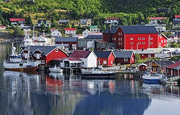 Fishing village Reine, Moskenes, Lofoten, Norway, Scandinavia