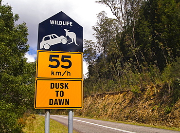 Wildlife crossing sign, dusk to dawn, Queensland, Australia