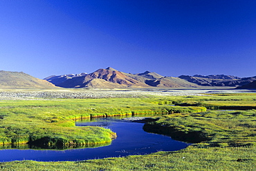 Meandering offshoot of Lake Kar Tso, grassy plateau and snow-covered peaks at over 4900 metres, Himalayas, Ladakh, India