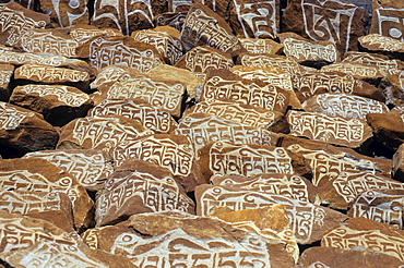 Mani rocks with Buddhist inscriptions, Himalayas, Ladakh, India