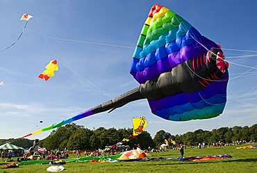 Gigantic kite, stingray, manta, visitors, International Kite Festival, Bristol, England, United Kingdom, Europe