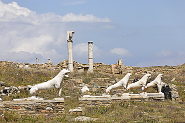 Archaic statues of lions, Delos, Greece