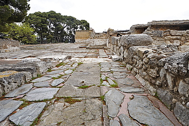 Minoan street going to the Palace of Knossos, Crete, Greece, Europe