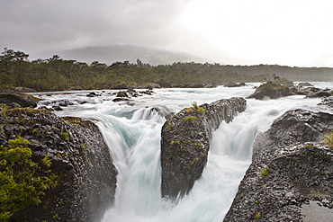 Petrohue Waterfalls ("Saltos del Petroehue") at Petrohue River, Vicente Perez Rosales National Park, Region de los Lagos, Chile, South America