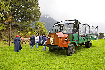 Off-road truck used for sightseeing, Lago Todos los Santos, Region de los Lagos, Chile, South America