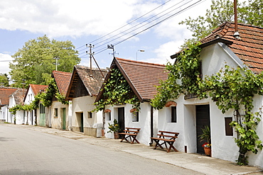 Wine cellars along a narrow street in the town of Hadres, Weinviertel (wine region), Lower Austria, Austria, Europe