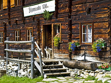 House, Filzmoosalm (Filzmoos mountain pasture), Grossarltal (Grossarl Valley), Salzburg, Austria, Europe