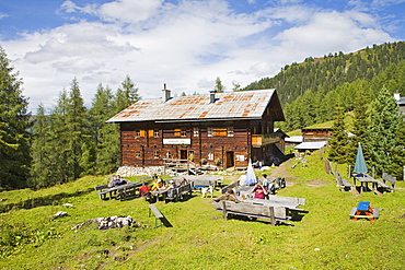 Filzmoosalm alpine pasture, Grossarltal, Salzburg, Austria, Europe