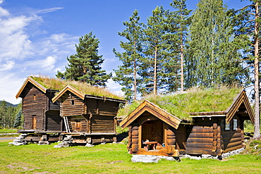 Thatch-roofed wood houses in Jondalen, Norway, Scandinavia, Europe