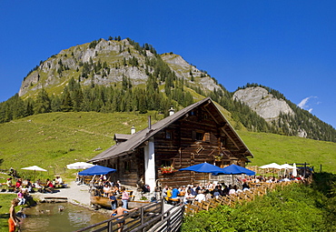 Igltalalm alpine pasture, Grossarltal, Salzburg, Austria, Europe