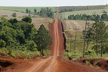 Country road through the Gran Chaco, Paraguay South America