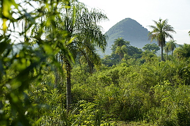 Hilly landscape near Caacupe, Circuito Central, Paraguay South America