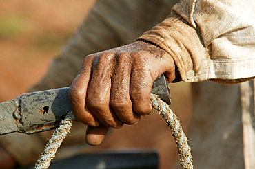 Field worker holding the plow and the reins, Paraguay, South America