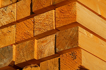 Wooden beams on a lumberyard