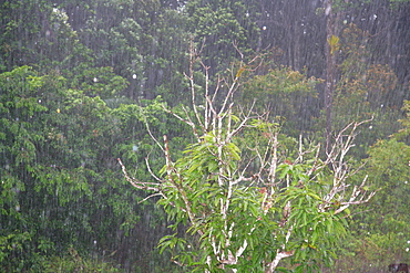 Tropical rains, Kaieteur Waterfalls, Potaro National Park, Guyana, South America