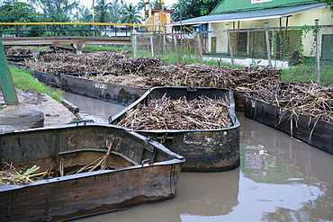 Barges used for the transportation of sugar cane, Demerara Province, Guyana, South America