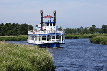 Paddle steamer, Prerower Stream, Western Pomerania Lagoon Area National Park, Mecklenburg-Western Pomerania, Germany, Europe