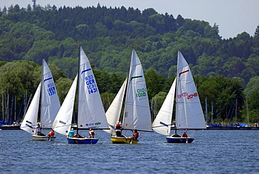 Sailing boats at the Lake Chiemsee, Prien, Upper Bavaria, Bavaria, Germany