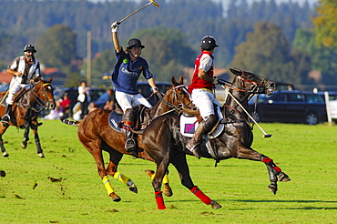 Polo player, Polo tournament, Berenberg High Goal Trophy 2007, Thann, Holzkirchen, Upper Bavaria, Bavaria, Germany