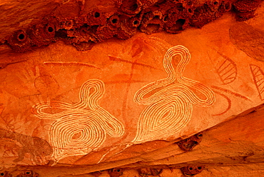 Aboriginal rock art depicting crag martins nests, south of Alice Springs, Northern Territory, Australia