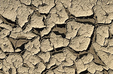 Dried out soil caused by drought and lack of water