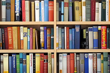 Bookshelf filled with books