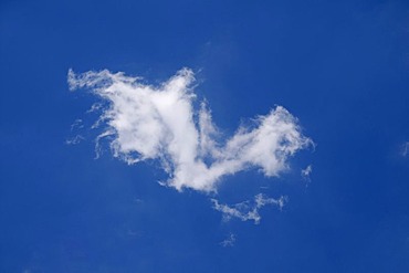 Cirrus cloud in a blue sky