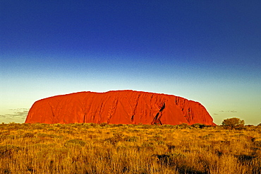 Ayers rock, uluru, while sundown, australia