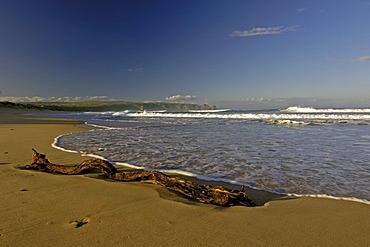 Phillip island, south australia