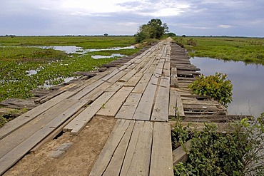 Typical brigde on transpantaneira road in Pantanal, Brasil