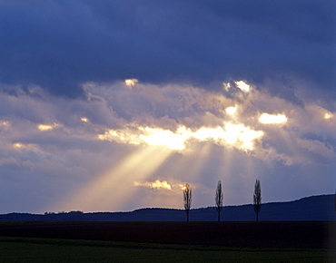 Rays of sunlight shining through clouds and three poplars