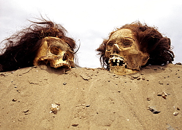 Inca graves, skulls, Inca mummies, archaeological excavations, Puruchuco-Huaquerones, near Lima, Peru, South America